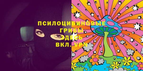 ГАЛЛЮЦИНОГЕННЫЕ ГРИБЫ Алексеевка