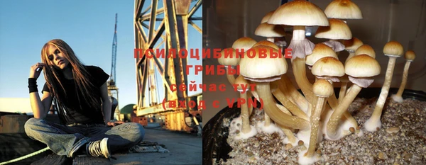 наркотики Алексин