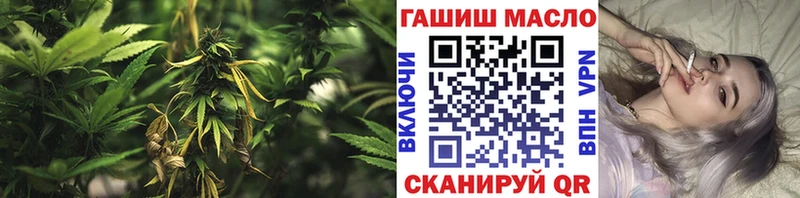 наркотики  Заволжск  ТГК концентрат 
