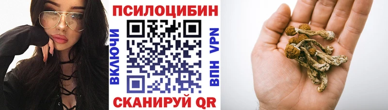 где продают   Заволжск  Галлюциногенные грибы MAGIC MUSHROOMS 