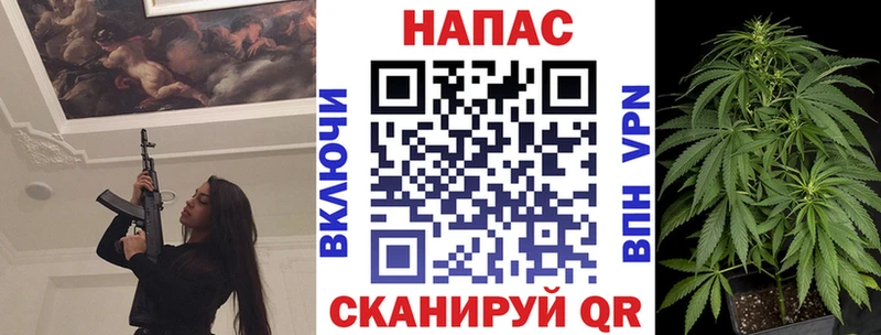 Каннабис OG Kush  Заволжск 